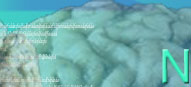 Neural Networks with java
