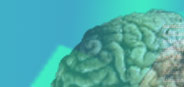 Herramienta Redes Neuronales